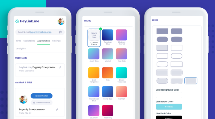 Complete Your Profile With Avatar and Theme