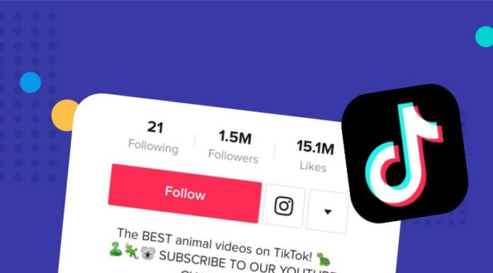 How to Add Clickable Link in TikTok Bio in 2020 Using HeyLink.me?