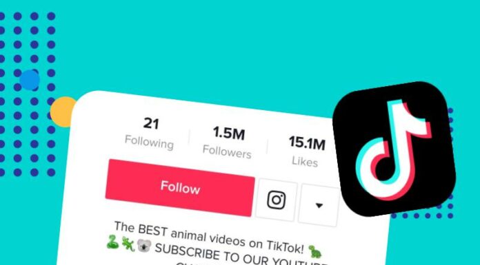 How to Add Clickable Link in TikTok Bio in 2021 Using HeyLink.me?