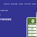 How to use Heylink.me Agency plan Heylink.me Agency Landing Page
