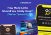 How Many Links Should You Really Have? (We’ve Tested It)